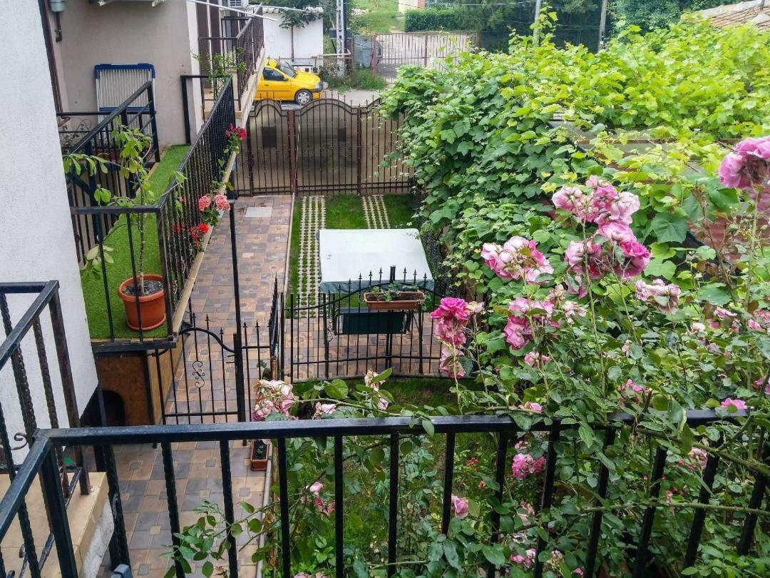 Stefy & Marie Apartment Constanta Exterior photo